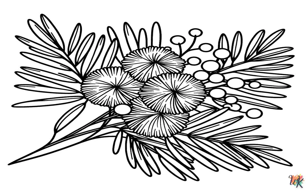 Mimosa 1 Disegni da colorare Mimosa